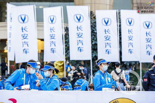 重馬十年 | 年入百萬(wàn)，重馬造就財(cái)富新機(jī)遇——重慶創(chuàng)業(yè)團(tuán)隊(duì)順富醫(yī)藥的崛起之路
